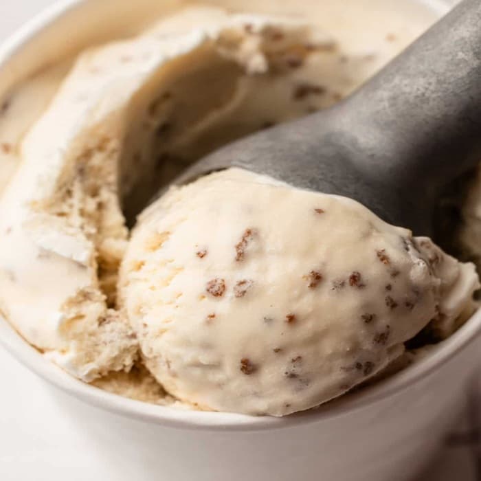 image of Grape Nut Ice Cream